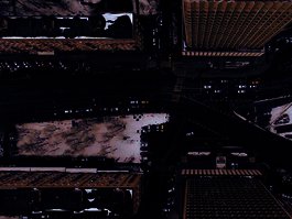 Photo by Nikita Maru